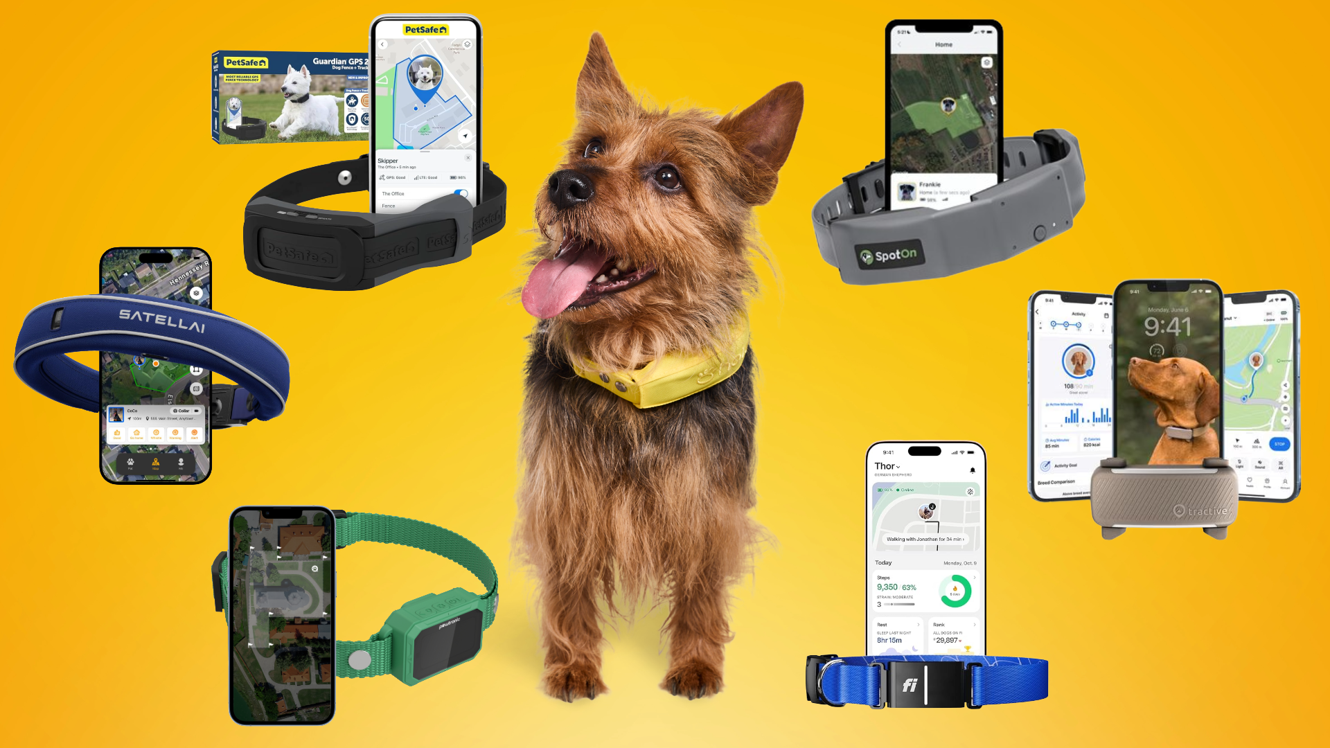 Dog wearing a GPS collar surrounded by multiple smart dog GPS collars and tracking apps, comparing the best GPS dog collars for location tracking and virtual fences
